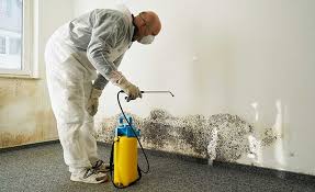 Best Environmental Consulting for Mold Prevention  in Parkville, MD