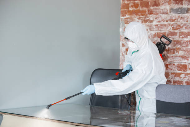 Best Forensic Mold Investigation  in Parkville, MD